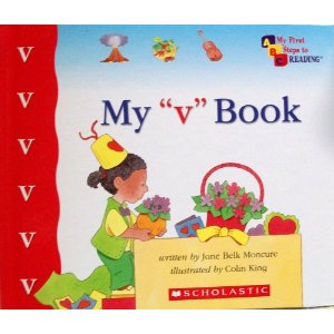 My V Book